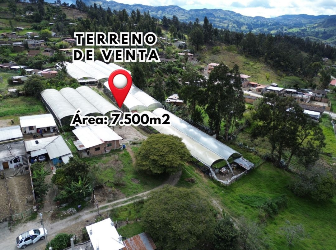LOTE DE VENTA EN SAN JACINTO | NORTE DE LOJA
