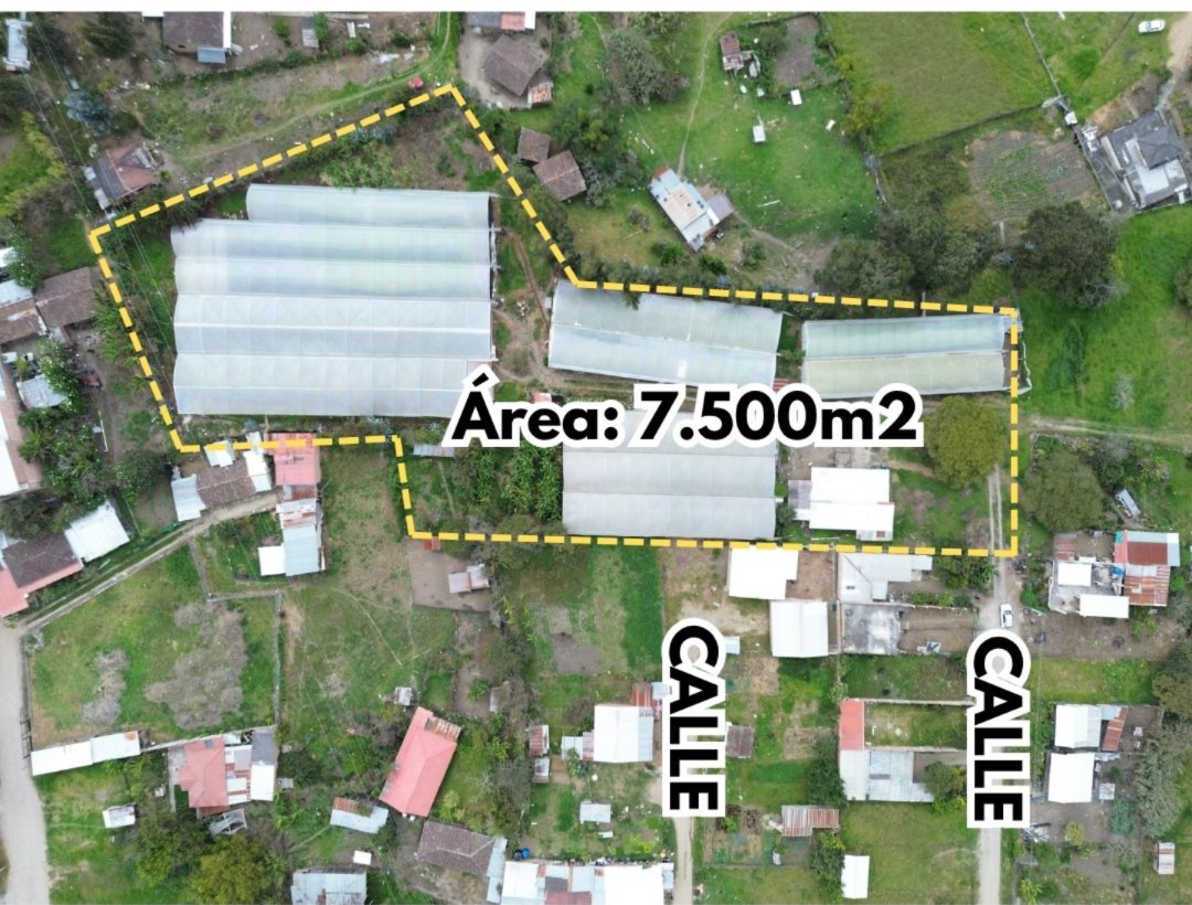 LOTE DE VENTA EN SAN JACINTO | NORTE DE LOJA